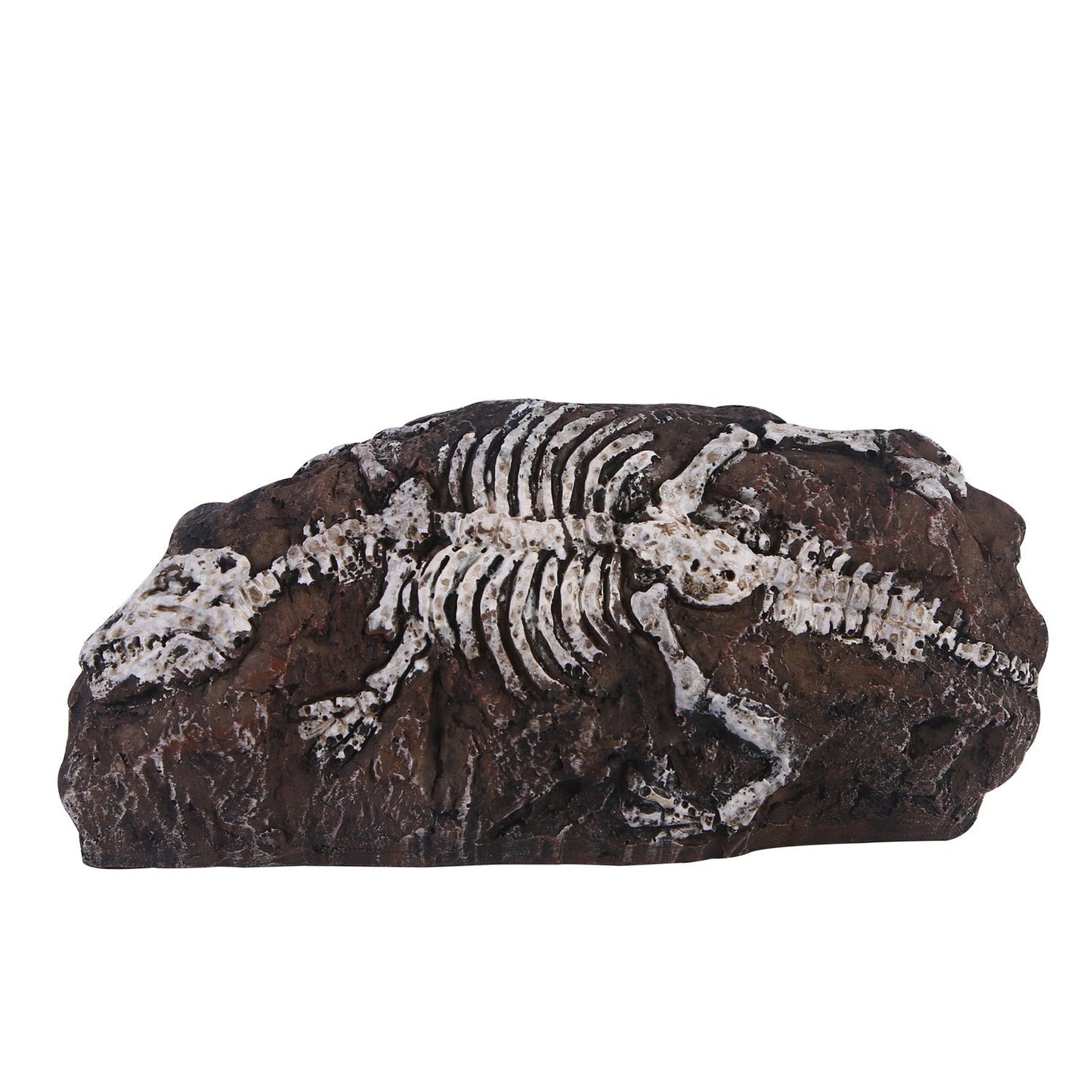 Fossil aquarium fish tank resin ornaments eprolo