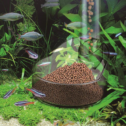 Acrylic Aquarium Feeder Tube Set Dish Transparent Fish Tank Shrimp Snail Food Feeder Bowl eprolo