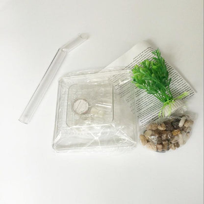 Self-Cleaning Fish Tank – 1L Complete Aquarium Setup with LED Light, Stones & Plants eprolo