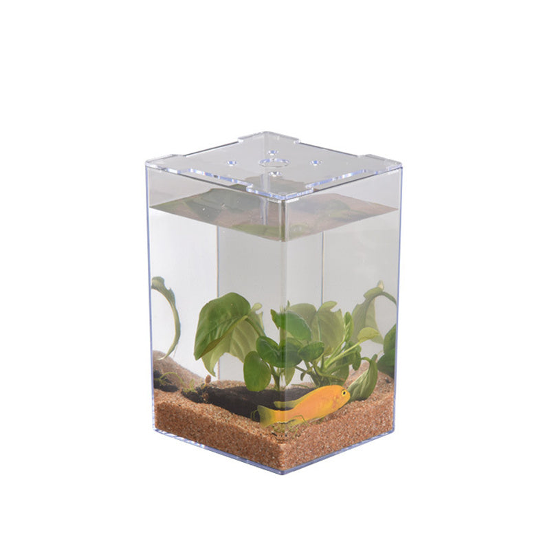 Desktop Acrylic Fish Tank – 6.2" x 6.2" x 5.9" Transparent Aquarium for Office & Home eprolo