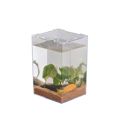 Desktop Acrylic Fish Tank – 6.2" x 6.2" x 5.9" Transparent Aquarium for Office & Home eprolo
