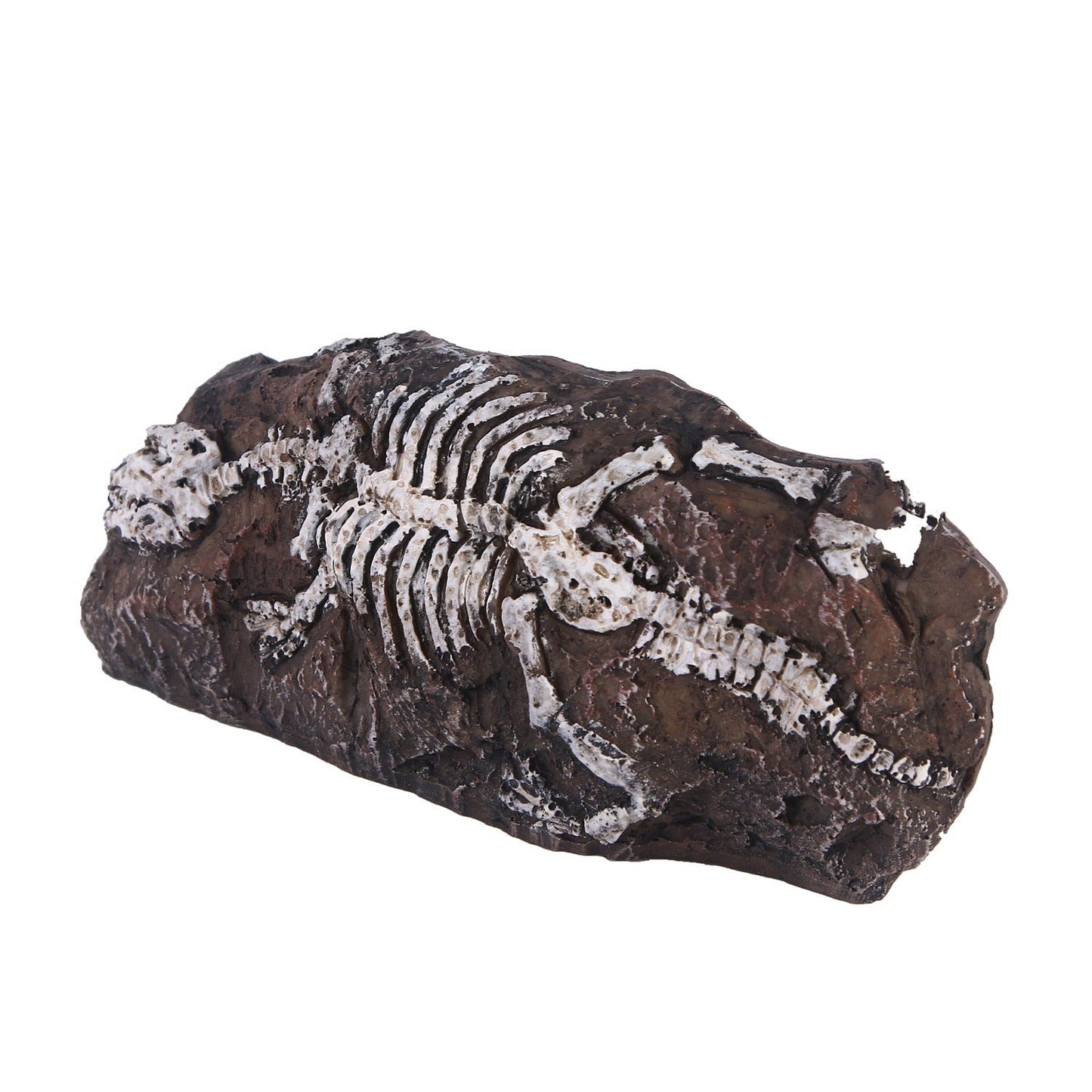 Fossil aquarium fish tank resin ornaments eprolo