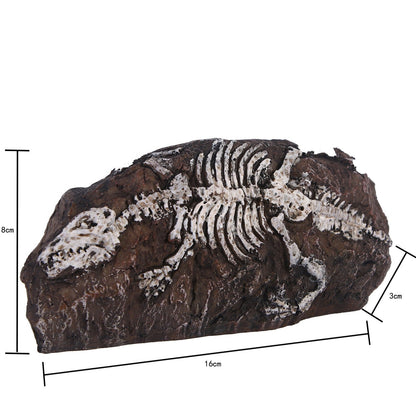 Fossil aquarium fish tank resin ornaments eprolo