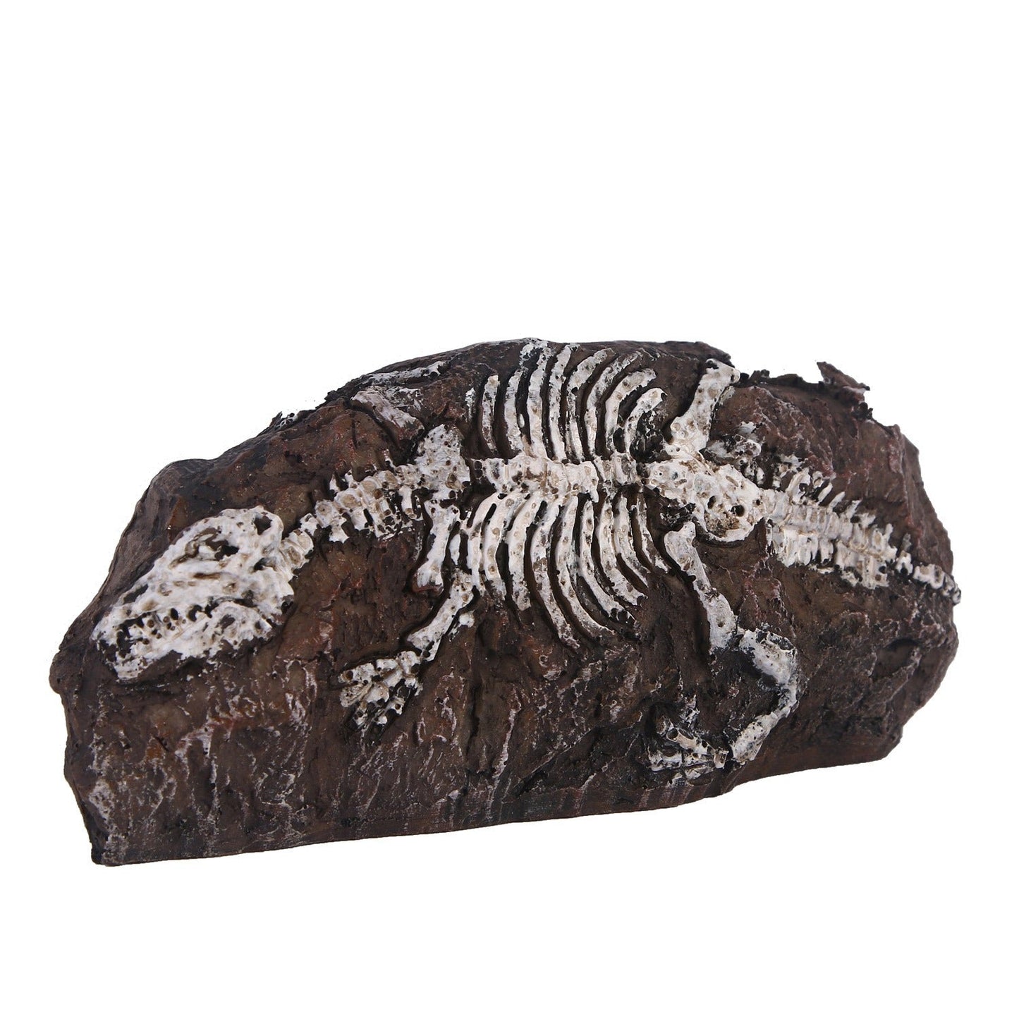 Fossil aquarium fish tank resin ornaments eprolo
