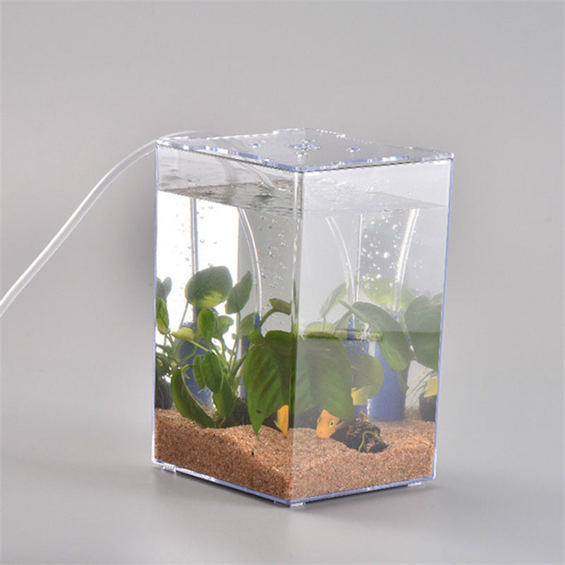 Desktop Acrylic Fish Tank – 6.2" x 6.2" x 5.9" Transparent Aquarium for Office & Home eprolo