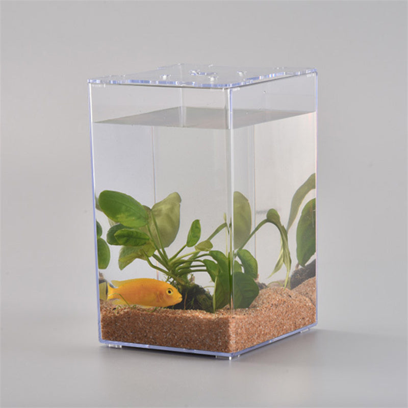 Desktop Acrylic Fish Tank – 6.2" x 6.2" x 5.9" Transparent Aquarium for Office & Home eprolo