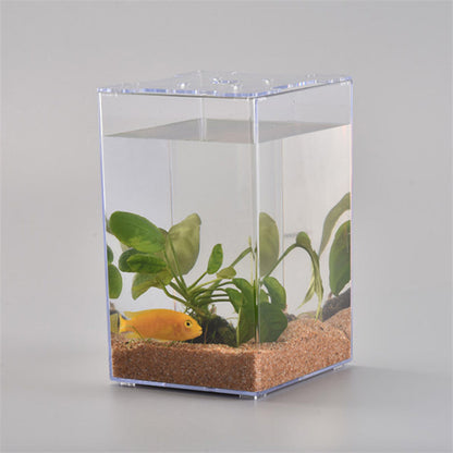 Desktop Acrylic Fish Tank – 6.2" x 6.2" x 5.9" Transparent Aquarium for Office & Home eprolo