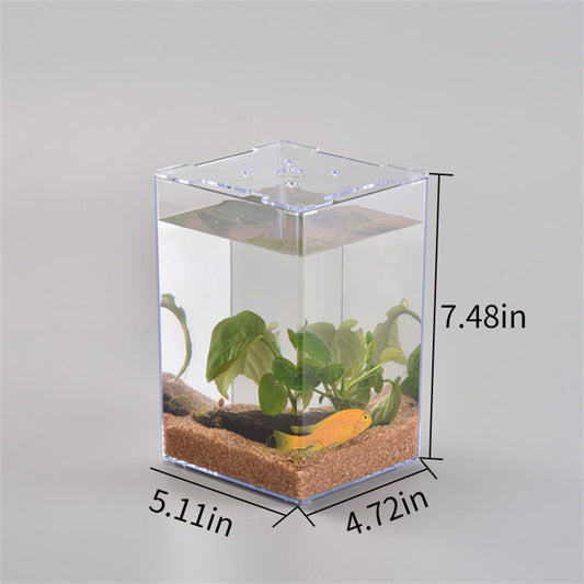 Desktop Acrylic Fish Tank – 6.2" x 6.2" x 5.9" Transparent Aquarium for Office & Home eprolo