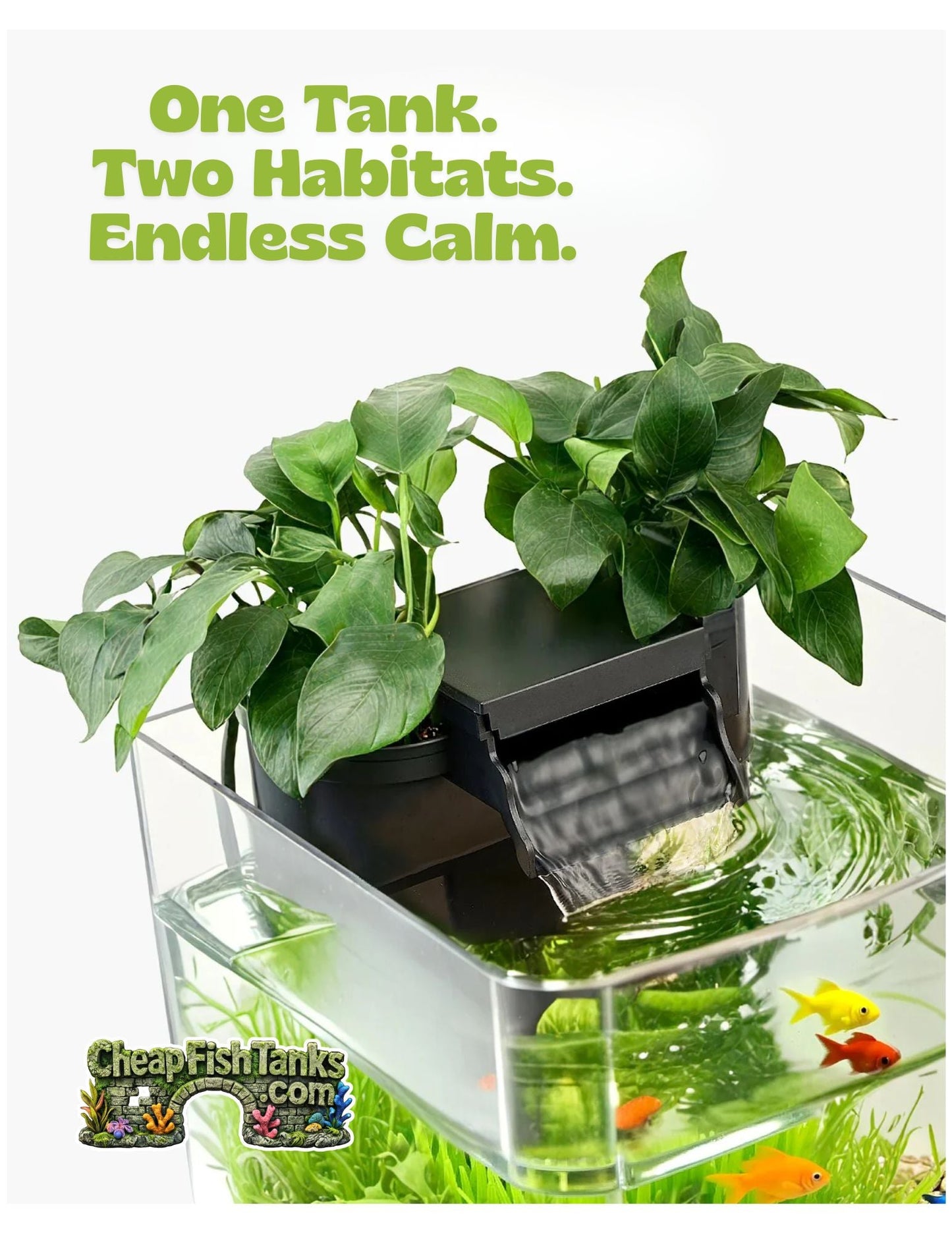 2 Gallon Fish Tank Aquarium Smart Arch Clear GPPS 3 Color Self Cleaning 